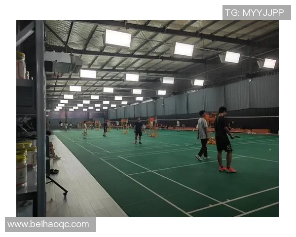 羽毛球赛事场馆环境对运动员表现影响探讨