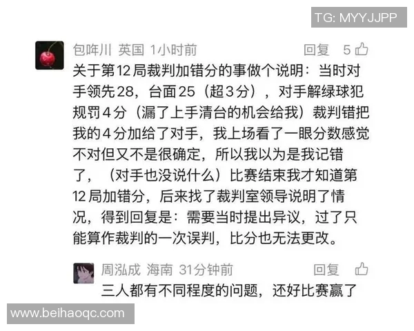裁判赛后公开致歉承认关键误判直接影响比赛最终结果